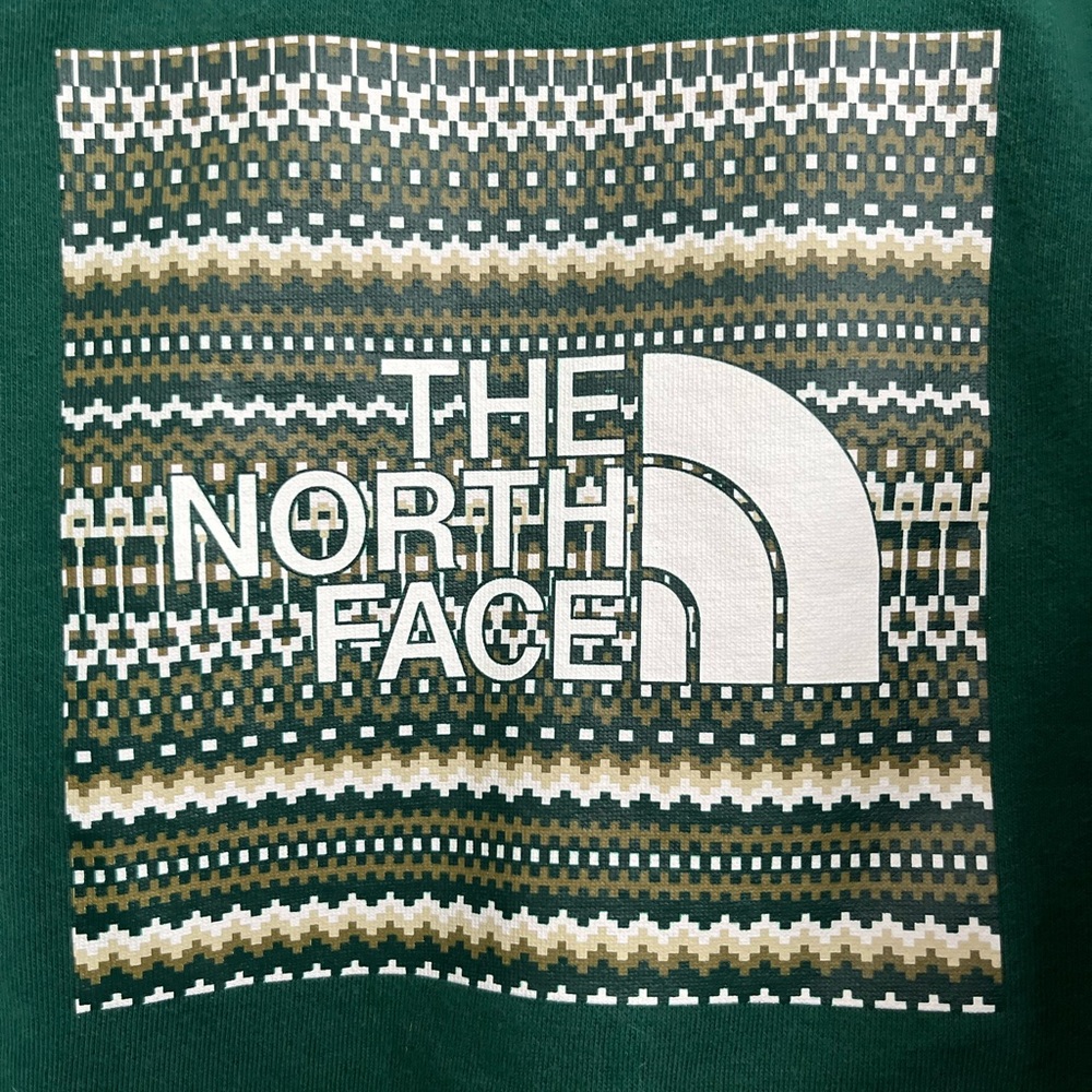 The north face hoodie